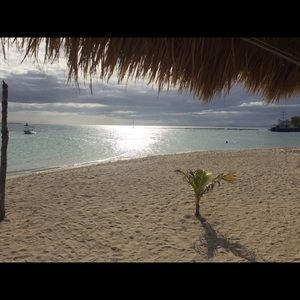 Meet your Posher, Fructuoso